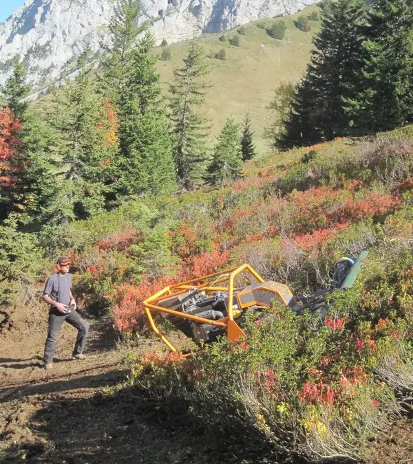 Débroussaillage d&rsquo;alpages et biotopes à Tetras Lyre et Faverges-Seythenex