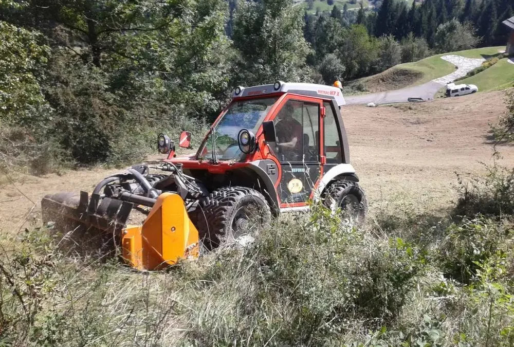 Débroussaillage de terrain en pente à Manigod
