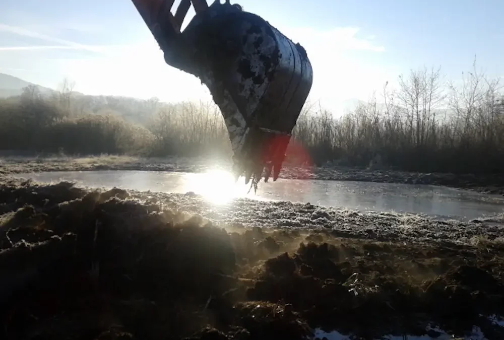 Aménagement espaces naturels zone humide