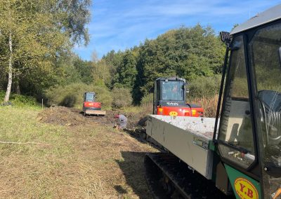 Aménagement en zone humide