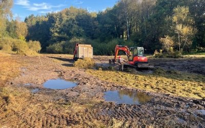Aménagement en zone humide