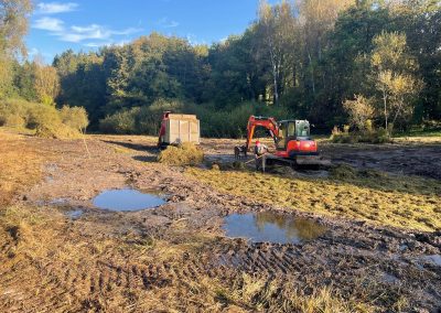 Aménagement en zone humide YB PAYSAGE